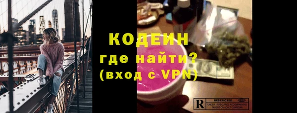 МДПВ Бородино
