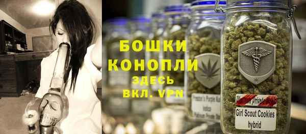 не бодяженный Ладушкин
