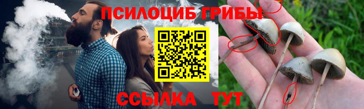 Псилоцибиновые грибы ЛСД  Малоярославец 