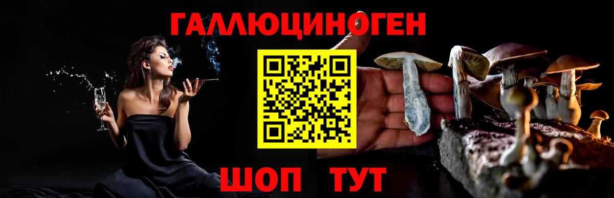 Галлюциногенные грибы Psilocybe  Вход с VPN  Псилоцибиновые грибы Cubensis  Малоярославец 